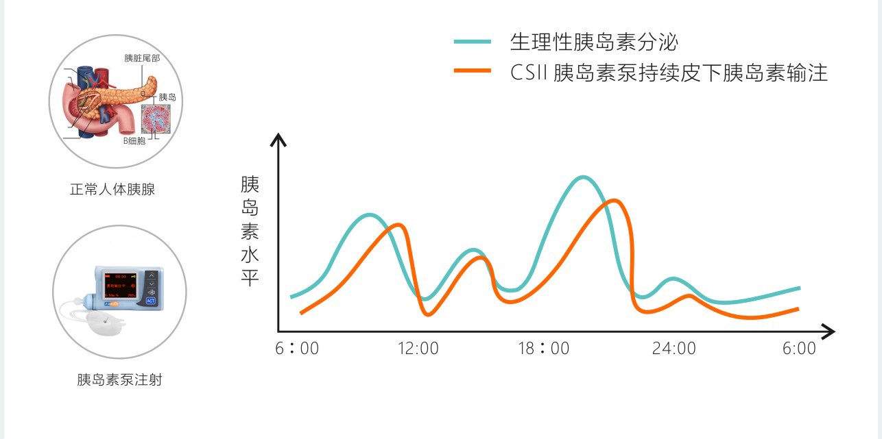 微信图片我WPS图片.jpg